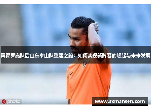 桑德罗离队后山东泰山队重建之路：如何实现新阵容的崛起与未来发展