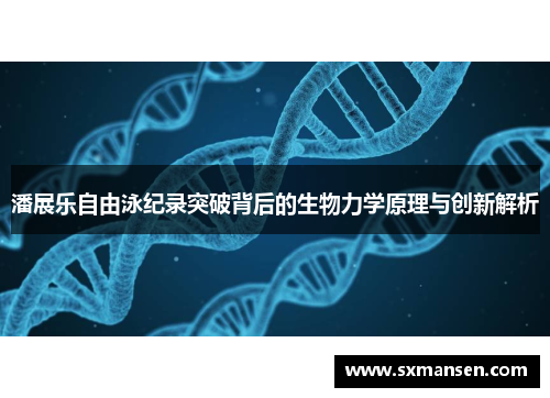 潘展乐自由泳纪录突破背后的生物力学原理与创新解析