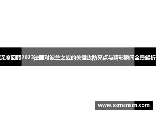 深度回顾2023法国对波兰之战的关键攻防亮点与精彩瞬间全景解析