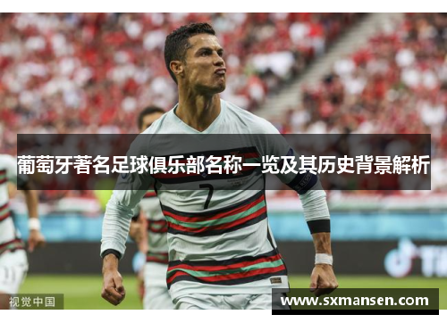 葡萄牙著名足球俱乐部名称一览及其历史背景解析